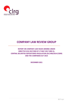 Report on Public Company Issues